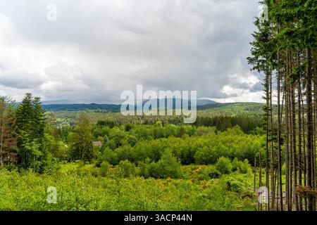Landschaft rund um Saulxures, eine Gemeinde im Departement Unterrhein in Grand Est im Nordosten Frankreichs Stockfoto
