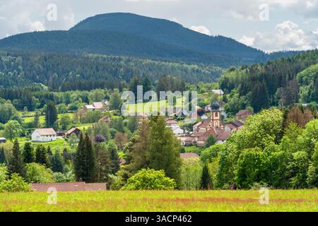 Landschaft rund um Saulxures, eine Gemeinde im Departement Unterrhein in Grand Est im Nordosten Frankreichs Stockfoto