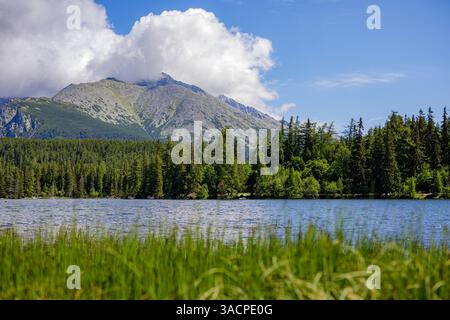 Bergsee umgeben von Gipfeln und üppigem Grün, klares Sewasser, das die ruhige Landschaft widerspiegelt, friedliche und malerische Aussicht, sonniger glücklicher Himmel Stockfoto
