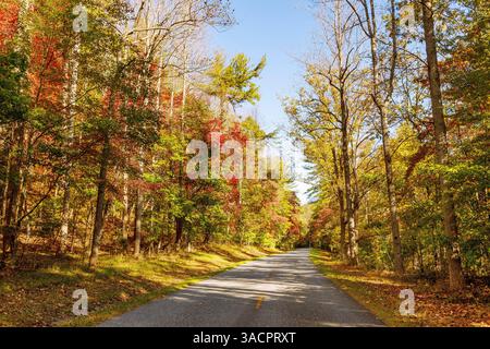Blue Ridge Parkway mit Bäumen in Herbstfarben (Indian Summer) in der Nähe von Roanoke, Virginia, USA Stockfoto