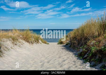Pfad zwischen den Sanddünen mit Blick auf das Meer und einem Segelschiff und blauem Himmel Stockfoto