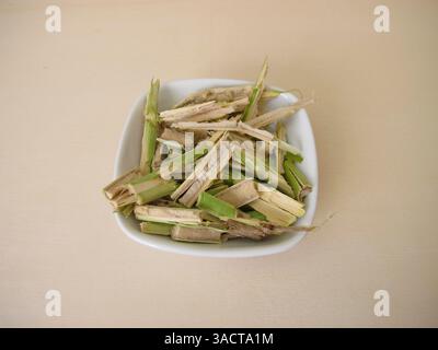 Schneiden Sie junger Holunder Holz mit Holunder Brep, Holz von schwarzem Holunder, Sambucus nigra Stockfoto