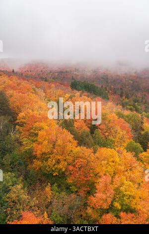 USA, Minnesota, Superior National Forest. Herbstfarben und Nebel. ©Don Grall / Jaynes Gallery / DanitaDelimont.com Stockfoto