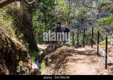 Levada do Moinho in der Nähe von Ponta do Sol, Wanderer, portugiesische Insel Madeira, Portugal Stockfoto