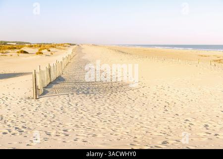 South Ocean Beach in der Assateague Island National Seashore auf Assateague Island bei Berlin, Worcester County, Maryland, USA Stockfoto