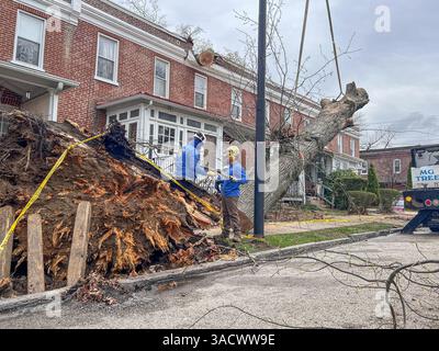 Ein heftiger Sturm über Nacht stürzte Bäume und beschädigte Autos in Media, PA Delaware County, USA. Tausende ohne Macht und geschlossene Schulbezirke. Stockfoto
