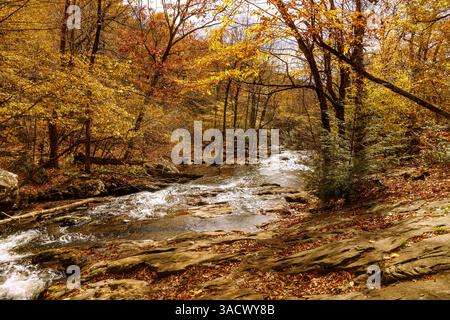 Laubwald und Robinson River Wasserlauf auf dem Whiteoak Canyon Trail im Shenandoah National Park, Virginia, USA Stockfoto
