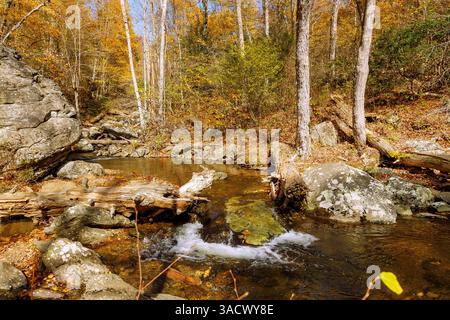 Laubwald und Robinson River Wasserlauf auf dem Whiteoak Canyon Trail im Shenandoah National Park, Virginia, USA Stockfoto