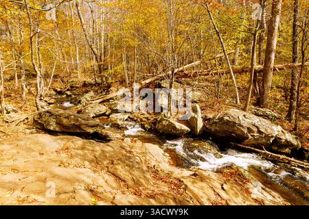Laubwald und Robinson River Wasserlauf auf dem Whiteoak Canyon Trail im Shenandoah National Park, Virginia, USA Stockfoto
