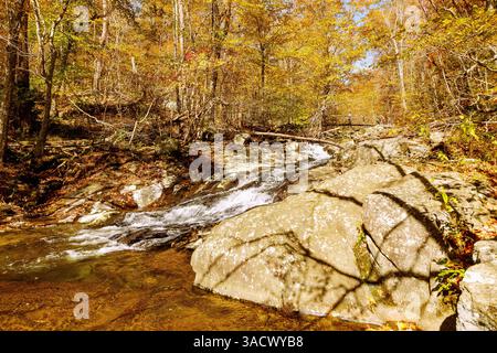 Laubwald und Robinson River Wasserlauf auf dem Whiteoak Canyon Trail im Shenandoah National Park, Virginia, USA Stockfoto