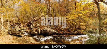 Laubwald und Robinson River Wasserlauf auf dem Whiteoak Canyon Trail im Shenandoah National Park, Virginia, USA Stockfoto