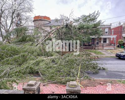 Ein heftiger Sturm über Nacht stürzte Bäume und beschädigte Autos in Media, PA Delaware County, USA. Tausende ohne Macht und geschlossene Schulbezirke. Stockfoto