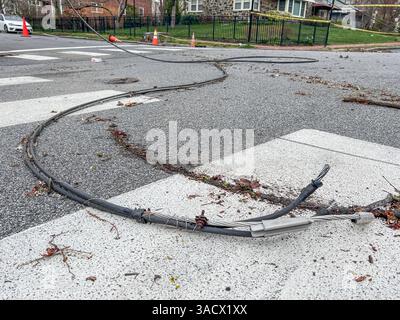 Ein heftiger Sturm über Nacht stürzte Bäume und beschädigte Autos in Media, PA Delaware County, USA. Tausende ohne Macht und geschlossene Schulbezirke. Stockfoto