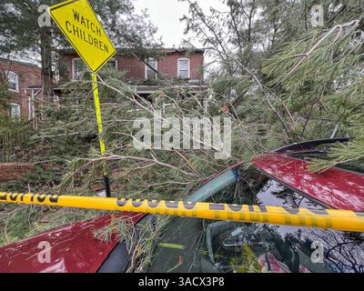 Ein heftiger Sturm über Nacht stürzte Bäume und beschädigte Autos in Media, PA Delaware County, USA. Tausende ohne Macht und geschlossene Schulbezirke. Stockfoto