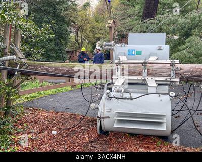 Ein heftiger Sturm über Nacht stürzte Bäume und beschädigte Autos in Media, PA Delaware County, USA. Tausende ohne Macht und geschlossene Schulbezirke. Stockfoto