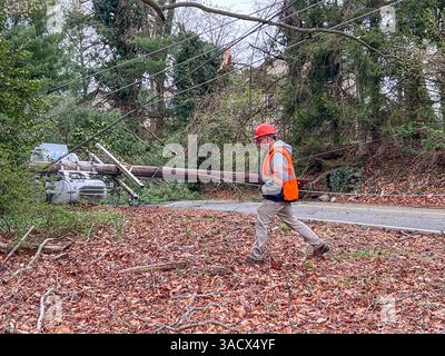 Ein heftiger Sturm über Nacht stürzte Bäume und beschädigte Autos in Media, PA Delaware County, USA. Tausende ohne Macht und geschlossene Schulbezirke. Stockfoto
