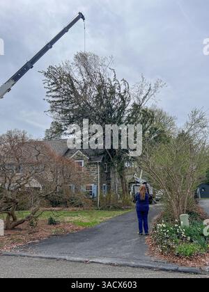 Ein heftiger Sturm über Nacht stürzte Bäume und beschädigte Autos in Media, PA Delaware County, USA. Tausende ohne Macht und geschlossene Schulbezirke. Stockfoto