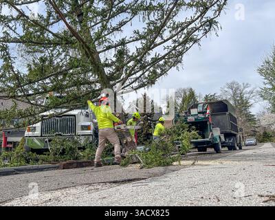 Ein heftiger Sturm über Nacht stürzte Bäume und beschädigte Autos in Media, PA Delaware County, USA. Tausende ohne Macht und geschlossene Schulbezirke. Stockfoto