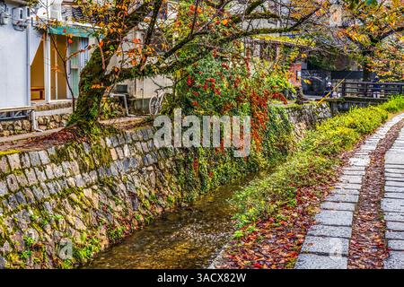 Buntes Laub, Philosopher's Walk, Kyoto, Japan. Gehen Sie vorbei an berühmten Tempeln. Gegründet 1890, weil japanische Philosophen hier spazierten. Stockfoto