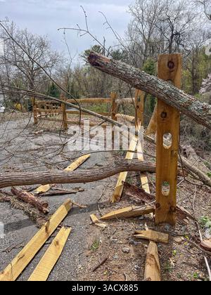 Ein heftiger Sturm über Nacht stürzte Bäume und beschädigte Autos in Media, PA Delaware County, USA. Tausende ohne Macht und geschlossene Schulbezirke. Stockfoto