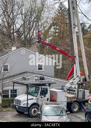 Ein heftiger Sturm über Nacht stürzte Bäume und beschädigte Autos in Media, PA Delaware County, USA. Tausende ohne Macht und geschlossene Schulbezirke. Stockfoto