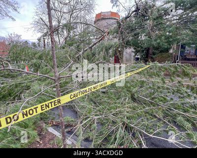 Ein heftiger Sturm über Nacht stürzte Bäume und beschädigte Autos in Media, PA Delaware County, USA. Tausende ohne Macht und geschlossene Schulbezirke. Stockfoto