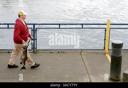 29. August 2008 - Bellingham, Washington, USA - Ein erfolgreicher Angler spaziert mit einem Kummerlachs vom Whatcom Creek in der Innenstadt von Bellingham, Washington. Chumlachs sind auch als Hundelachs oder Oncorhynchus keta bekannt. Sie werden in Läden und Keta verkauft. Nach Angaben des Washington Department of Fish and Game ist der Chum Lachs einer der am häufigsten vorkommenden pazifischen Lachse in Washington (Credit Image: John Hagen/ZUMAPRESS.com). Stockfoto