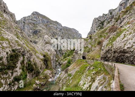 Herrliche Landschaft der Cares-Schlucht in den Picos de Europa-Bergen in Asturien, Nordspanien Stockfoto