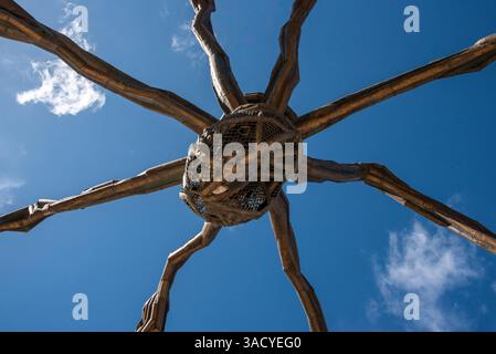 Bilbao, Spanien, unter der großen Spinnenskulptur Maman in Bilbao, Spanien Stockfoto