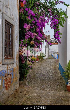 Die mittelalterliche Burg von Obidos, Portugal Stockfoto