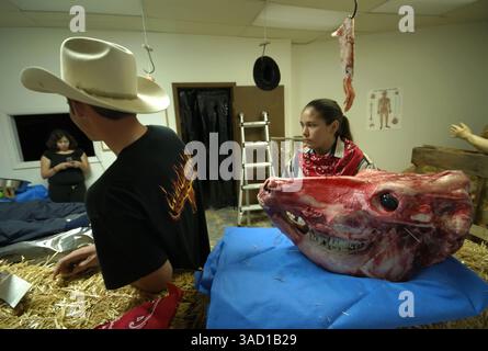 Juli 2007 - Roswell, New Mexico, USA - das Alien Encounter Funhouse am Donnerstag, 5. Juli 2007 in Roswell, New Mexico. .2007 jährt sich zum 60. Jahrestag des Roswell-Vorfalls, der angeblichen Entdeckung einer abgestürzten fliegenden Untertasse 30 Meilen nördlich der Innenstadt von Roswell durch den Rancher W. „Mac“ Brazel und der mutmaßlichen „Vertuschung“ durch das US-Militär, die die Überreste an der Absturzstelle offiziell als „einen streng geheimen Wetterballon“ bezeichnete. ..das Roswell UFO Festival, mit einer Vielzahl von Elementen, die Touristen und wahre Gläubige gleichermaßen ansprechen, bietet einen Alien-Kostümwettbewerb, Touren durch die '' Stockfoto