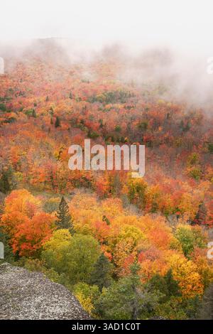 USA, Minnesota, Superior National Forest. Herbstfarben und Nebel. ©Don Grall / Jaynes Gallery / DanitaDelimont.com Stockfoto