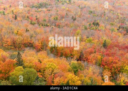 USA, Minnesota, Superior National Forest. Herbstfarben im Wald. ©Don Grall / Jaynes Gallery / DanitaDelimont.com Stockfoto