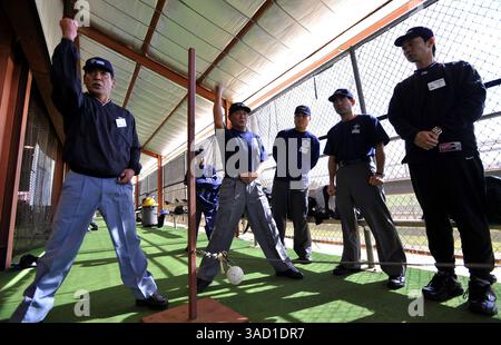 22. Januar 2008 - Kissimmee, Florida, USA - Eine Gruppe japanischer Studenten arbeitet am Dienstag, den 15. Januar 2008, mit einem Ballverfolgungsgerät an der Jim Evans Academy of Professional Umpiring im Osceola County Stadium and Sports Complex in Kissimmee, Florida. Während eines 5-wöchigen professionellen Kurses mit Unterrichtseinheiten und Übungen vor Ort durch ein Team unter der Leitung des ehemaligen American League Crew Chief Jim Evans werden die Schüler die Grundlagen und die Feinheiten des Schiedsrichters vermittelt, wobei der Schwerpunkt auf der richtigen Mechanik, der Signalgebung, der Kommunikation und der Anwendung der Regeln liegt. Von den 125 Schülern, die an dem Academ teilnahmen Stockfoto