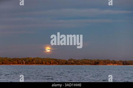 Ein Vollmond, der über dem Mashomack-Naturschutzgebiet auf Shelter Island, ny, aufsteigt Stockfoto
