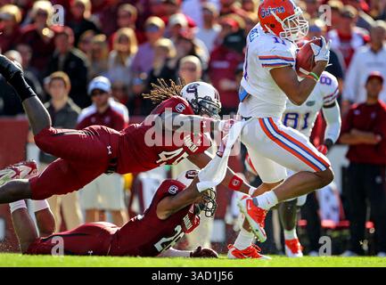 12. November 2011 - Columbia, SC, USA - South Carolina Gamecocks Linebacker Rodney Paulk (45) und Linebacker Antonio Allen (26) stürzen im dritten Quartal den Tight End von Florida Gators Jordan Reed (11). Die South Carolina Gamecocks besiegten die Florida Gators am Samstag, den 12. November 2011, im Williams-Brice Stadium in Columbia, South Carolina. (Kreditbild: © Gerry Melendez/The State/MCT/ZUMAPRESS.com) Stockfoto