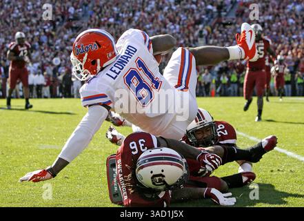 12. November 2011 - Columbia, SC, USA - Florida Gators Tight End A. C. Leonard (81) wird im vierten Quartal von South Carolina Gamecocks Security D.J. Swearinger (36) und Linebacker Antonio Allen (26) getroffen. Die South Carolina Gamecocks besiegten die Florida Gators am Samstag, den 12. November 2011, im Williams-Brice Stadium in Columbia, South Carolina. (Kreditbild: © Gerry Melendez/The State/MCT/ZUMAPRESS.com) Stockfoto
