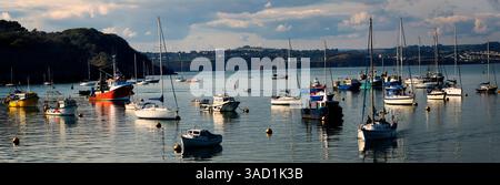 Großbritannien, Devon, Outer Harbour in Brixham mit den Elberry Cove Muschelbetten im Hintergrund Stockfoto