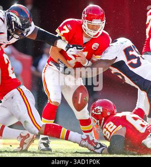 13. November 2011: D.J. Williams #7 aus Denver entfernt Matt Cassel #07 aus Kansas City während des NFL-Spiels zwischen den Denver Broncos und den Kansas City Chiefs im Arrowhead Stadium in Kansas City (MO) (Credit Image: © Kyle Rivas/Cal Sport Media/ZUMAPRESS.com) Stockfoto