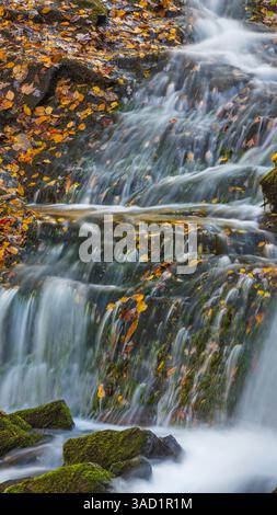 USA, North Carolina, Great Smoky Mountains. Indian Creek Falls Wasserfall. ©Don Paulson / Jaynes Gallery / DanitaDelimont.com Stockfoto