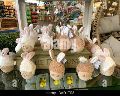 Harleston Heath Garden Centre Northampton Northamptonshire England Großbritannien britische Gartenblumen Pflanzen Pflanzen Frühlingsneuheiten verkaufen Waren hübsch Stockfoto