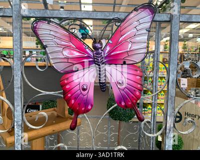 Harleston Heath Garden Centre Northampton Northamptonshire England Großbritannien britische Gartenblumen Pflanzen Pflanzen Frühlingsneuheiten verkaufen Waren hübsch Stockfoto