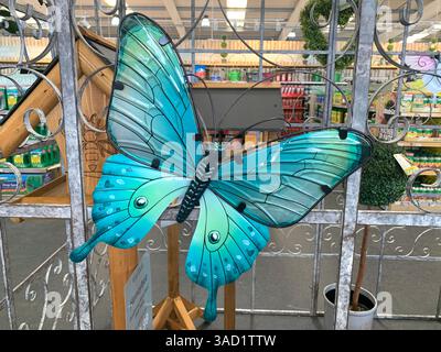 Harleston Heath Garden Centre Northampton Northamptonshire England Großbritannien britische Gartenblumen Pflanzen Pflanzen Frühlingsneuheiten verkaufen Waren hübsch Stockfoto