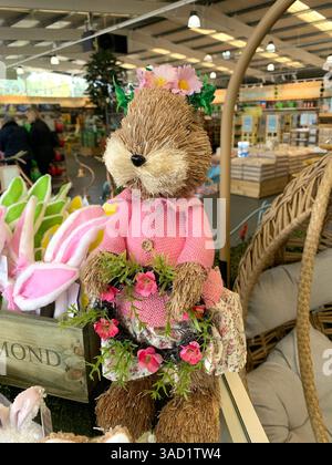 Harleston Heath Garden Centre Northampton Northamptonshire England Großbritannien britische Gartenblumen Pflanzen Pflanzen Frühlingsneuheiten verkaufen Waren hübsch Stockfoto
