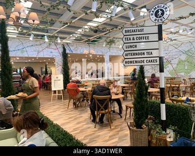 Harleston Heath Garden Centre Northampton Northamptonshire England Großbritannien britische Gartenblumen Pflanzen Pflanzen Frühlingsneuheiten verkaufen Waren hübsch Stockfoto