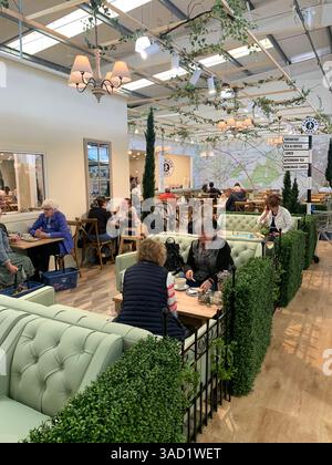 Harleston Heath Garden Centre Northampton Northamptonshire England Großbritannien britische Gartenblumen Pflanzen Pflanzen Frühlingsneuheiten verkaufen Waren hübsch Stockfoto