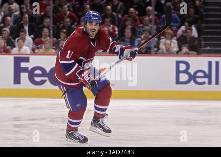 14. November 2011: Montreal, Québec, Kanada - Montreal Canadiens Stürmer Scott Gomez (11) in der dritten Phase des Spiels der Montreal Canadiens gegen die Buffalo Sabres im Bell Center. Buffalo gewann 3-2 Überstunden (Foto: © Phillippe Champoux/Southcreek/ZUMAPRESS.com) Stockfoto