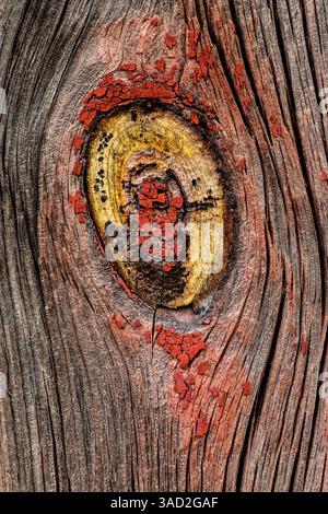 USA, Palouse, Bundesstaat Washington. Holzmuster. Stockfoto