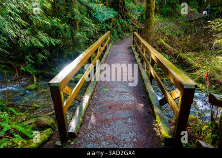 Holzbrücke über den Little River, Little River zum Hurricane Ridge Trail, Port Angeles, Washington State, USA Stockfoto