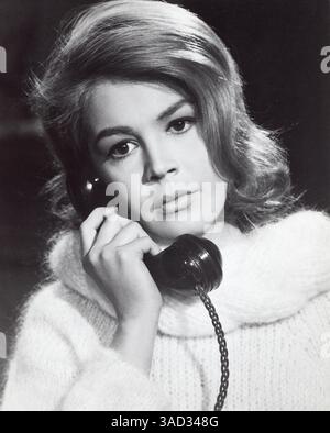 September 2011 - SANDRA DEE. Bereitgestellt von Photos, inc.. Nehmen Sie sie, sie gehört mir. (Kreditbild: © Globe Photos/ZUMAPRESS.com) Stockfoto